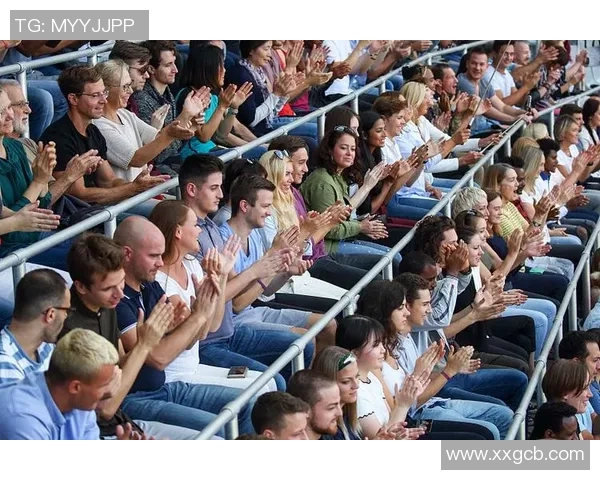 欧洲杯赛场观众热情及现场管理经验分享